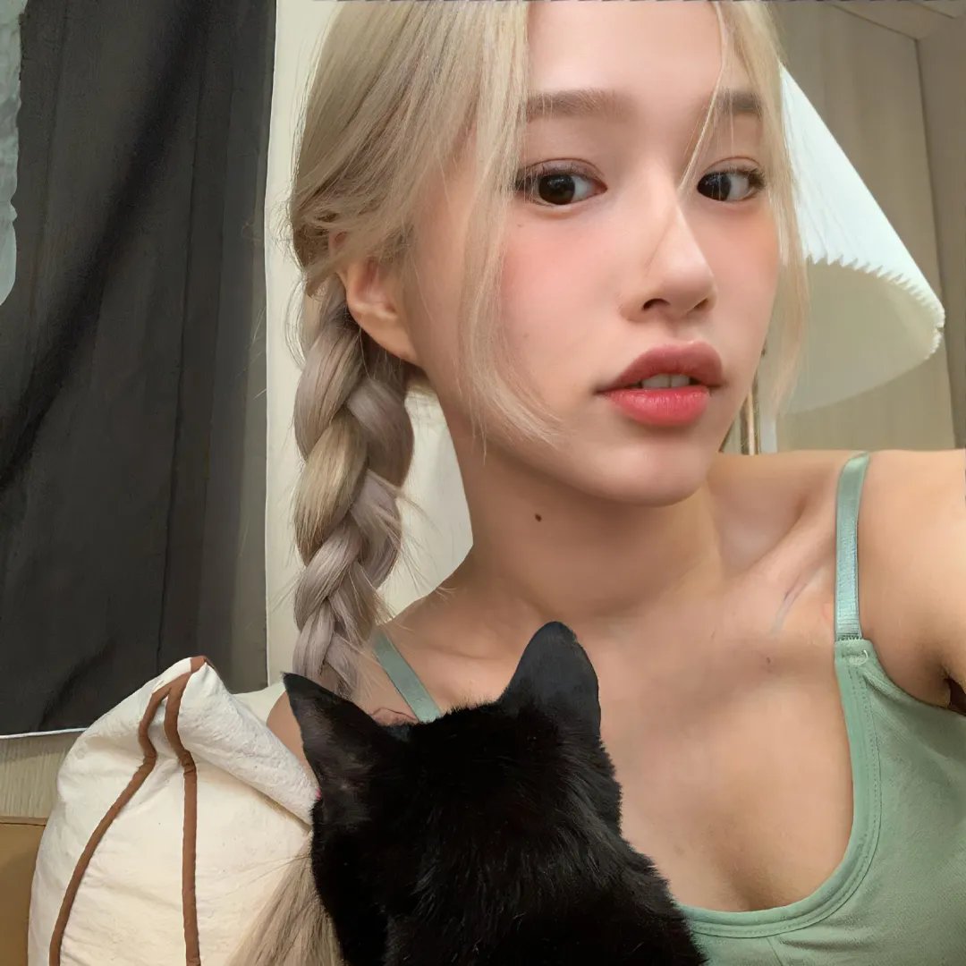 毛毯猫